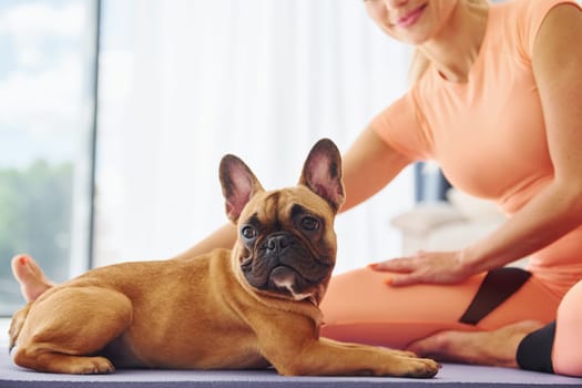 Yoga time. Woman with pug dog is at home at daytime