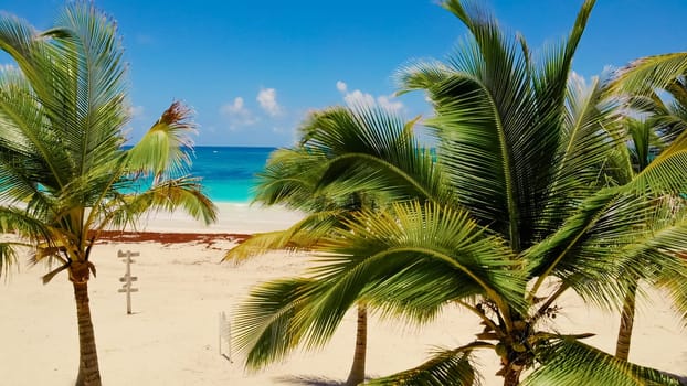 Tropical sand beach with palm trees at sunny day