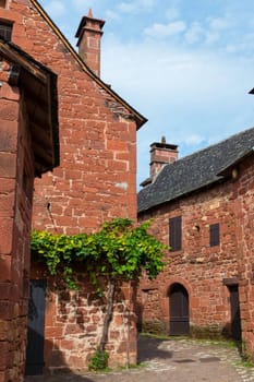 The red village Collonges la rouge in france with green grapes plant