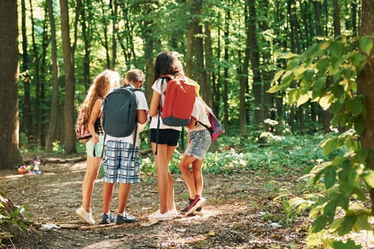 Kids strolling in the forest with travel equipment