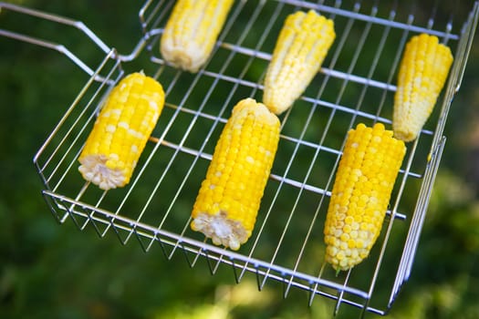 Delicious sweet corn is grilled on the grill. Outdoor recreation.