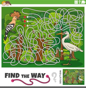 find the way maze game with cartoon hoopoe and egret birds