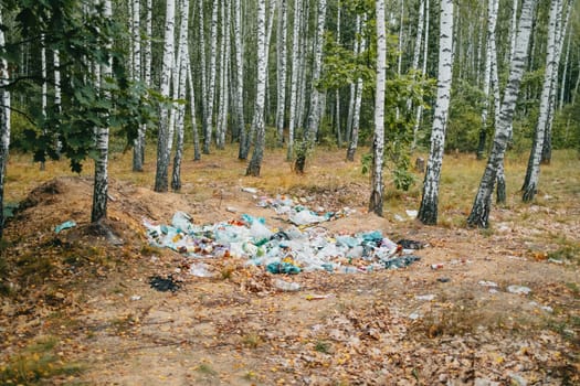 Garbage dump, trash in birch grove. Nature polluted by irresponsible people