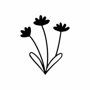Cornflower in style of doodle. Flower icon for postcard design.