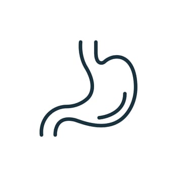 Stomach Line Icon. Human Alimentary Internal Organ Linear Pictogram. Healthy Stomach Outline Icon. Editable Stroke. Isolated Vector Illustration