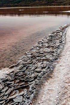 Coastal stones covered with self-sedimentary salt in the hypersaline Kuyalnitsky estuary, an ecological disaster