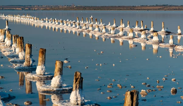 Salt crystals on wooden pillars of an old 18th century salt industry. The ecological problem is drought.