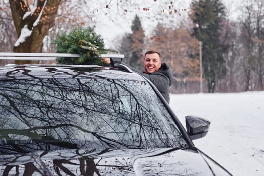 Preparing for the weekend. Man with little green fir is outdoors near his car. Conception of holidays