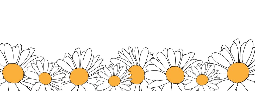 Border of daisies on white background. For design of website or shop for spring or summer