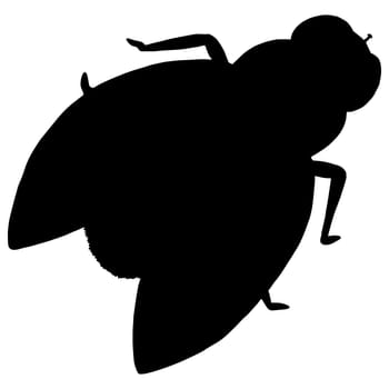 Fly Black Silhouette. Isolated Vector Illustration on White Background.
