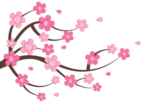 Cherry blossom clipart vector isolated on white background