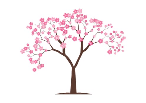 Cherry blossom tree on flat style vector isolated on white background