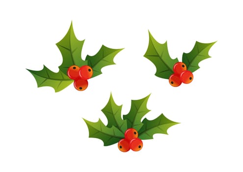 Christmas Holly Decoration Design Vector