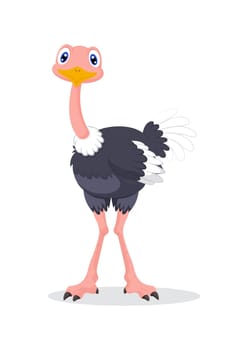 Clipart ostrich vector isolated on white background