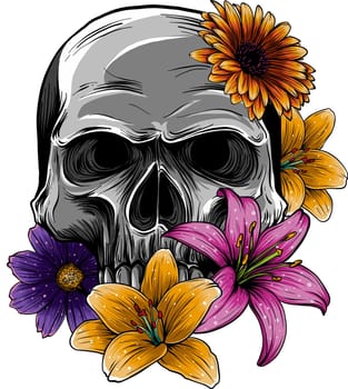 human Skull with Flowers. vector illustration on white background. digital hand draw