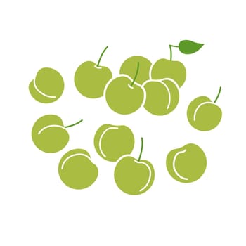 Green plum fruit bunch. Flat vector illustration isolated on white background.