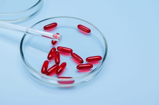 Still life with red soft gel capsules with fish oil, Omega and essential acids or fat-soluble vitamins A D E K in Petri dish on isolated blue background. Pharmaceutical industry and clinical research
