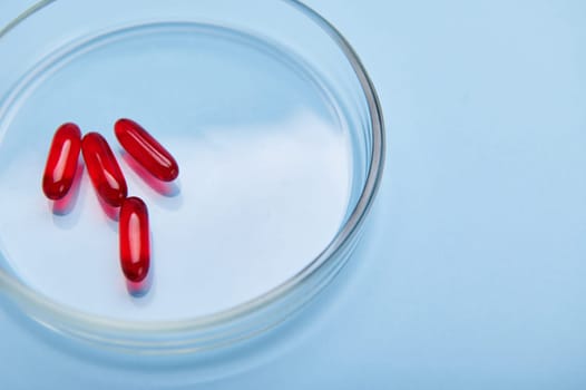 Red gelatin translucent capsules with fat-soluble vitamin E, essential acid, Omega-3 or fish oil in Petri dish. Top view