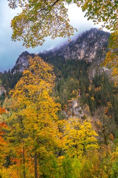 Autumn Mixed Forest, Füssen, Germany