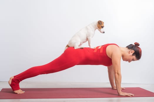 Woman in a plank pose with her pet. Yoga with Jack Russell Terrier dog