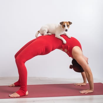 Woman in bridge pose with dog. Girl doing yoga with her pet.