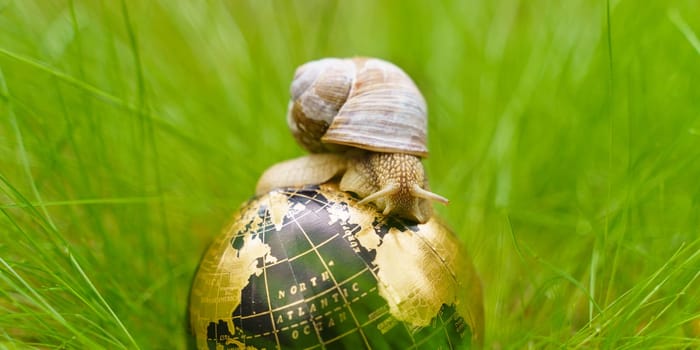 In the grass there is a globe on which the snail moves.