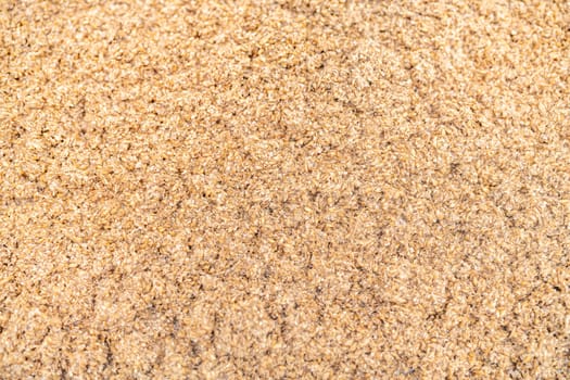 malt for brewing beer in a brewery. High quality photo