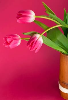 Bouquet of pink tulips on pink background. Mothers day, Valentines Day, Birthday celebration concept. greeting card. Copy space for text, top view