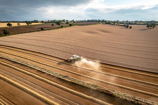 A Combine Harvester in a Field During the Summer Wheat Harvest