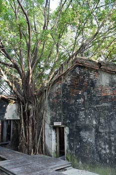 Vertical shot of the Anping Tree House in Tainan, Taiwan
