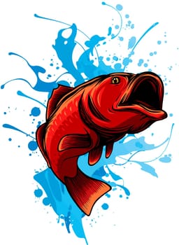 vector illustration of bass fish on white background. digital draw