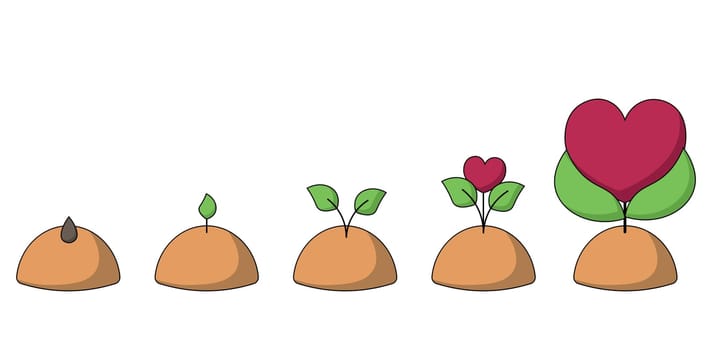 Stages of growth of a sprout from a seed to a heart-shaped flower in color
