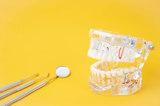 The Teeth model and instrument dental on yellow background.