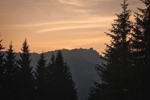 A landscape of the Leogang Mountains in Salzburg, Austria, behind a pine tree forest at sunrise