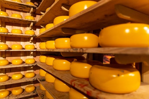 Dutch cheese wheels are stacked and available for purchase by the general public.