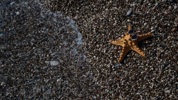 Starfish in sunglasses on a pebble beach. Rest at the sea.