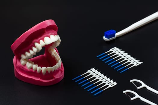 Human jaw layout, toothbrush, interdental toothpick brushes and flossing toothpicks.