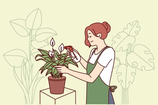 Woman gardener from greenhouse takes care of house plants by spraying leaves with fertilizer