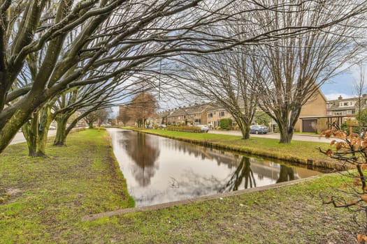 a canal in a neighborhood with trees on the side