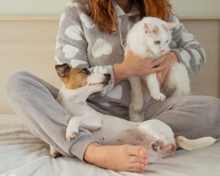 Caucasian woman holding a white fluffy cat and Jack Russell Terrier dog while sitting on the bed. The red-haired girl hugs with pets.