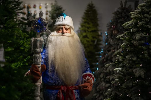 Russian Santa Claus with a staff in a store of artificial Christmas trees.