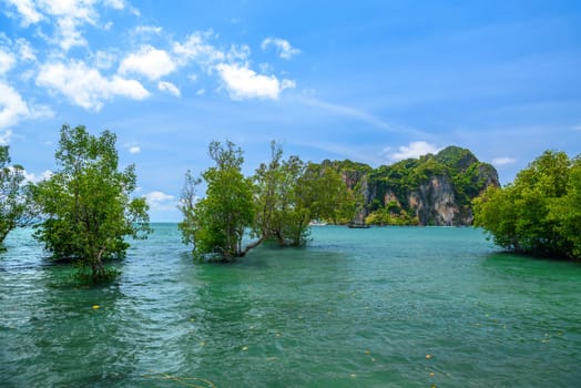 Tropical trees are growing in azure water with cliffs and rocks in the background, Ao Phra Nang Beach, Railay east Ao Nang, Krabi, Thailand