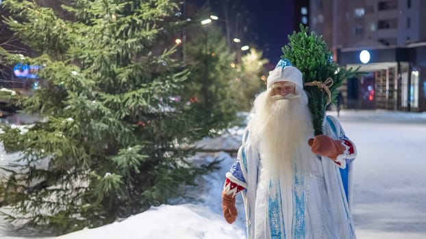 Russian santa claus carries a christmas tree outdoors.