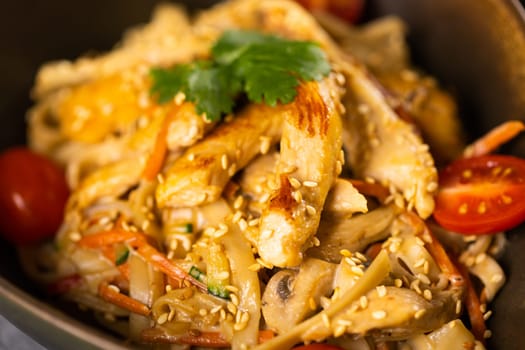Udon stir-fry noodles with chicken and vegetables. Asian cuisine