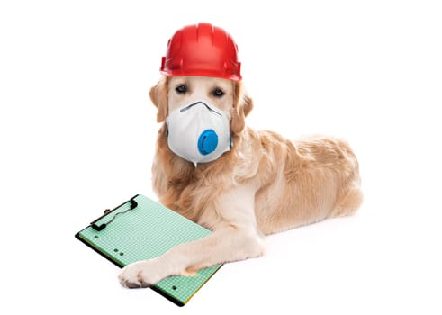 Dog in respirator and helmet holding notebook