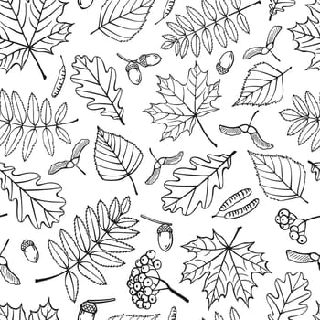 Seamless pattern with autumn leaves. Hand drawn vector illustration.