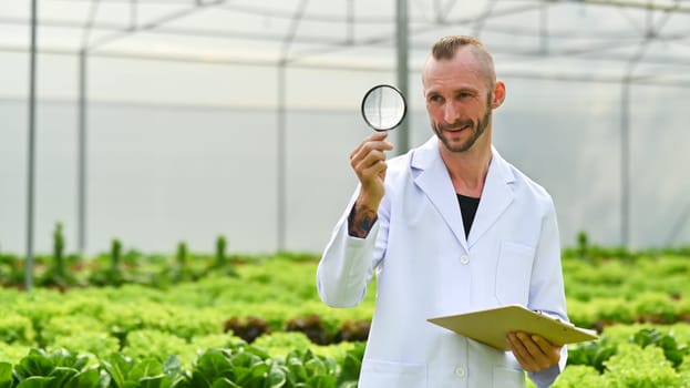 Caucasian male scientists holding magnifying glass and clipboard standing among vegetable in industrial greenhouse