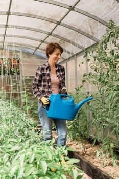 Woman with garden watering can waters plants and green tomatoes, gardening and greenhouse concept