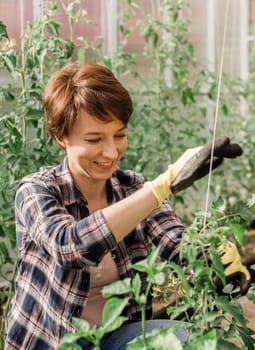 Happy gardener woman in gloves and care tomatoes in greenhouse. Gardening and floriculture. Garden care