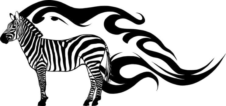 monochrome striped African Zebra, vector illustration draw